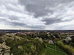 IMG_20250408_150536