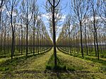 IMG_20250412_135243