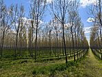 IMG_20250412_134747