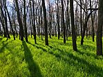 IMG_20250412_134510