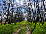 IMG_20250412_134501
