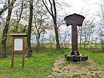 IMG_20250408_134507