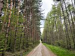 IMG_20250408_131717