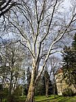 IMG_20250406_161706