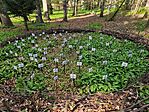 IMG_20250406_161123
