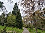 IMG_20250406_155509