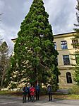 IMG_20250406_154405