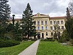 IMG_20250406_161915