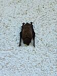 IMG_20230730_115002