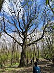 IMG_20250406_141755