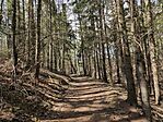 IMG_20250406_125943