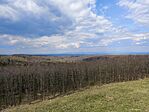 IMG_20250405_143350