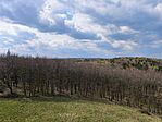 IMG_20250405_143341