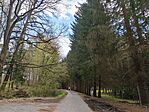 IMG_20250405_145521