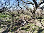 IMG_20250404_153426