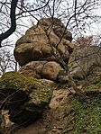 IMG_20250209_141051