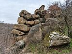 IMG_20250209_140615