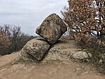 IMG_20250209_135243