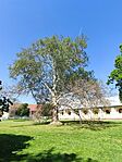 IMG_20250427_113234