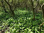 IMG_20250420_121846