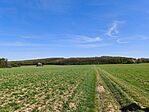 IMG_20250420_115447