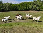 IMG_20250425_152510