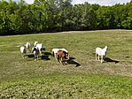 IMG_20250425_145052