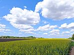 IMG_20250427_134934
