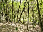 IMG_20250427_130552