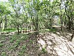 IMG_20250427_130603