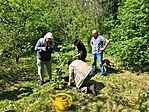 IMG_20250426_110911