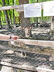 IMG_20250426_123346