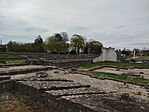 IMG_20250410_083345