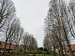 IMG_20250410_084111