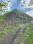 IMG_5303