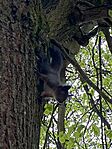 IMG_5396