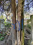 IMG_20250405_130842