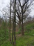 IMG_20250407_135112