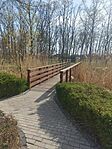 IMG_20250410_100257
