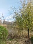 IMG_20250410_100318