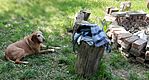 IMG-a5722bee54f19c064e7c3d8a8b35d863-V