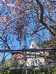 IMG_20250404_105706