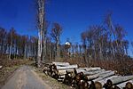 DSC01096