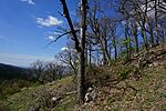 DSC01267