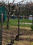 IMG_20250413_123547