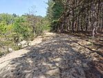 IMG_20240824_100716_MP