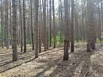 IMG_20240824_104234_MP