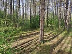 IMG_20250421_164321_MP