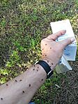 IMG_20250420_175533_363