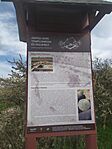 IMG_20250413_154840